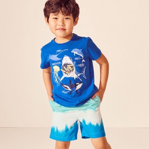 Lands' End Kids Graphic T Shirt - 1 of 2
