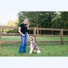 Country Brook Petz Nylon Dog Leash (3/8 Inch Wide) - 2 of 4
