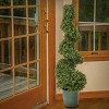 National Tree Company 44" Boxwood Spiral Topiary Artificial Tree: Faux Polyethylene, Freestanding, Unlit - 2 of 4