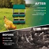 3/ 4 Hole Metal Chicken Nesting Box with Removable Roll-Out Tray Easy Egg Collection & Clean Galvanized Steel Laying Box, for Backyard Coop Orange - 4 of 4