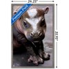 Trends International Cute Pygmy Hippopotamus Framed Wall Poster Prints - 3 of 4