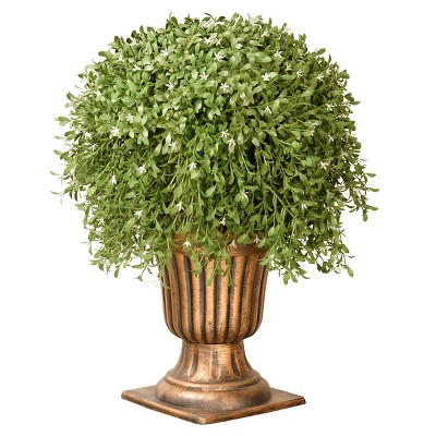 Argentea Plant with Gold Urn (26")