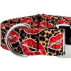 Country Brook Petz HossFit Jr Wide Premium Dog Collar - Affection Collection - 4 of 4