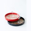 Shiraleah Red 14" Round "Merry" Tray - 4 of 4