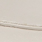 bone