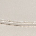 bone