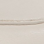 bone