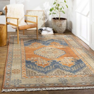 Hauteloom Rectangle Area Rug   Burnt Orange - 1 of 4