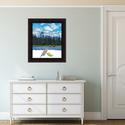 Portico Espresso 32.88" x 29.3" Solid Wood Wall Frame