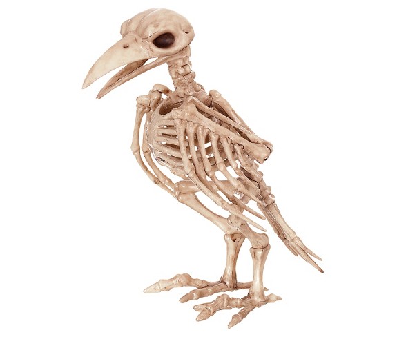 Halloween Skeleton Raven Decor