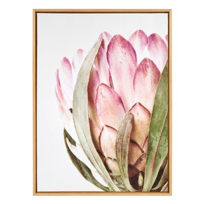 28" x 38" Sylvie Pink Protea Flower Framed Canvas by Amy Peterson Natural - Kate and Laurel