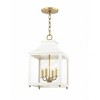 Mitzi Leigh 4 - Light Pendant in  Polished Nickel Clear Shade - 4 of 4