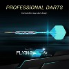 Keppi Professional Darts Steel Tip Set - 2 of 4