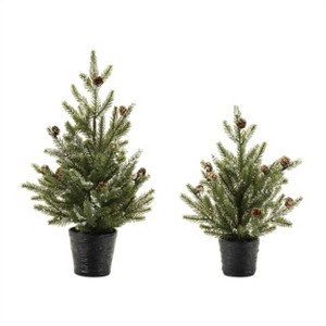Potted Mini Pine Tree (Set of 2) - 1 of 3
