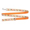 The Worthy Dog Tutti Frutti Pet Leash - image 4 of 4