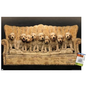 Trends International Keith Kimberlin - Puppies - Couch Unframed Wall Poster Prints - 1 of 4