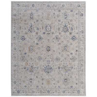 Pasha Transitional Floral & Botanical Area Rug