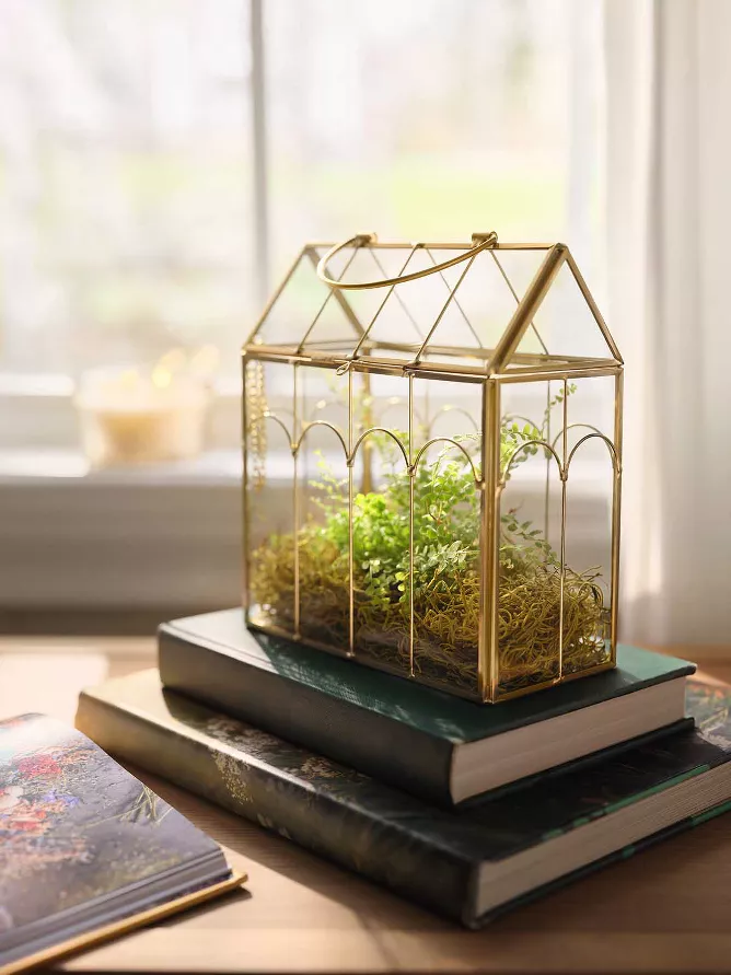 Brass tabletop plant atrium