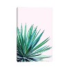 iCanvas Agave Love by 83 Oranges Canvas Print Wall Art - 2 of 3