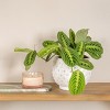 Storied Home Distressed Terra Cotta Hobnail Planter - 2 of 4