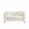 63" Chenille Loveseat Sofa, Luxury 2-Seater Tufted Couch with Gold Metal Legs, High-Density Foam, Throw Pillows, 500 lbs Capacity - 4 of 4