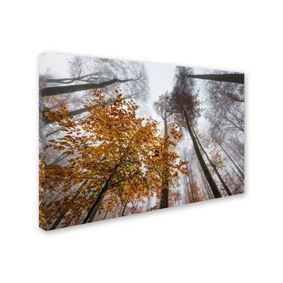 Trademark Fine Art -Philippe Sainte-Laudy 'Daydreamer' Canvas Art