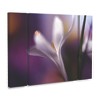 Trademark Fine Art Heidi Westum  Midnight Crocus 3 Piece Panel Set Art - 2 of 3