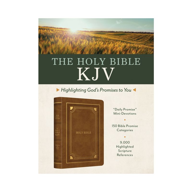 Holy Bible Kjv: Highlighting God's Promises to You [Gold & Camel] - by  Christopher D Hudson (Leather Bound), 1 of 2
