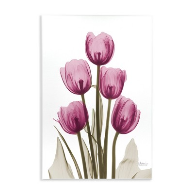 Stupell Industries Pink X-Ray Tulips, 10" x 15"