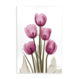Stupell Industries Pink X-Ray Tulips, 10" x 15" - 1 of 4