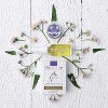 Little Seed Farm All Natural Deodorant Cream, Aluminum Free Deodorant for Women or Men, (2.4 Oz)- Lavender - (PACK OF 2) - 3 of 4
