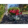 Nat & Jules Small Sleeping Dragon Moss Finish 10 inch Resin Garden Sculpture - 4 of 4