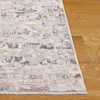 Finley FIN308 Power Loomed Indoor Rugs - Safavieh - 3 of 4