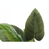 Gulches 37in Artificial Aureum Tree in Black Pot Green Real Touch Leaves Indoor Faux Floor Plant for Home Office Decor - 4 of 4
