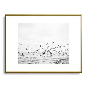 raisazwart Seagulls Coastal 18"x24" Gold Metal Framed Art Print - Deny Designs - 1 of 4