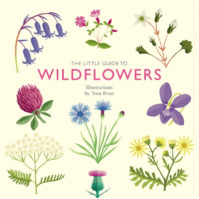 Little Guide to Wildflowers - by  Alison Davies (Hardcover)