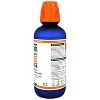 TheraBreath Healthy Gums Oral Rinse Mint - 16 fl oz - image 2 of 4
