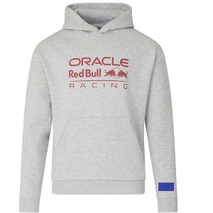 Castore Red Bull Racing Kid's Large Logo Hoodie (Gray, M) : Target