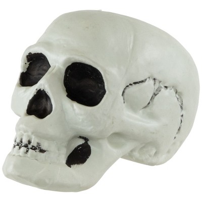 Set of 3 Realistic Plastic Halloween Skull Decorations