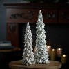 Glittered Holly Leaf Pine Tree (Set of 2) - 2 of 4