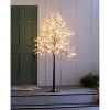 Indoor/Outdoor Electric Lighted Faux Gypsophila Twig Tree, 6' Tall - 2 of 4