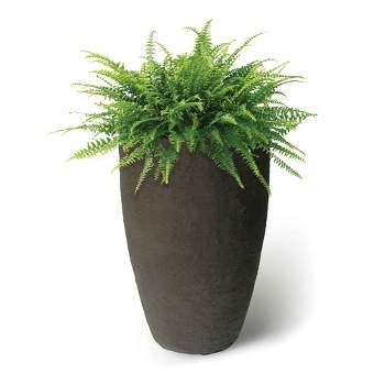 Algreen Products 87313 Athena 28.5" Self Watering Level Indicator Indoor Outdoor Plastic Planter with Overflow Drain, Brown