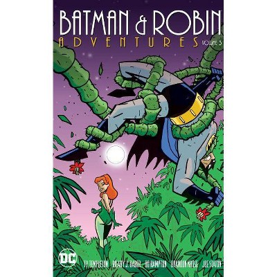 Batman & Robin Adventures Vol. 3 - by  Kelley Puckett (Paperback)