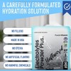 PowderVitamin Electrolytes Powder Plus™ 50 Servings - 3 of 4