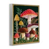 Stupell Industries Woodland Mushrooms Nature Framed Giclee Art - 2 of 4
