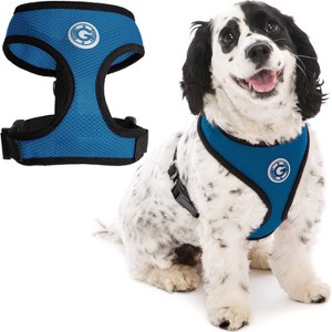 Gooby Soft Mesh Harness, Small Dog Harness with Breathable Mesh, Sea Blue, Medium - 1 of 1