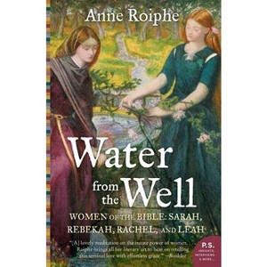 Water from the Well - by  Anne Roiphe (Paperback) - 1 of 1