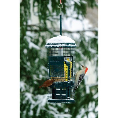 Green Metal Hanging Squirrel-Proof Suet Bird Feeder