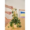 Blossom Trellis Live Plant Holder - 2 of 4