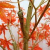 2pcs Soft PVC High-End Realistic Fake Maple Tree, Artificial Red Maple Tree, Chinese Style Home Decoration, Indoor Decorative Trees, Large Size - 4 of 4